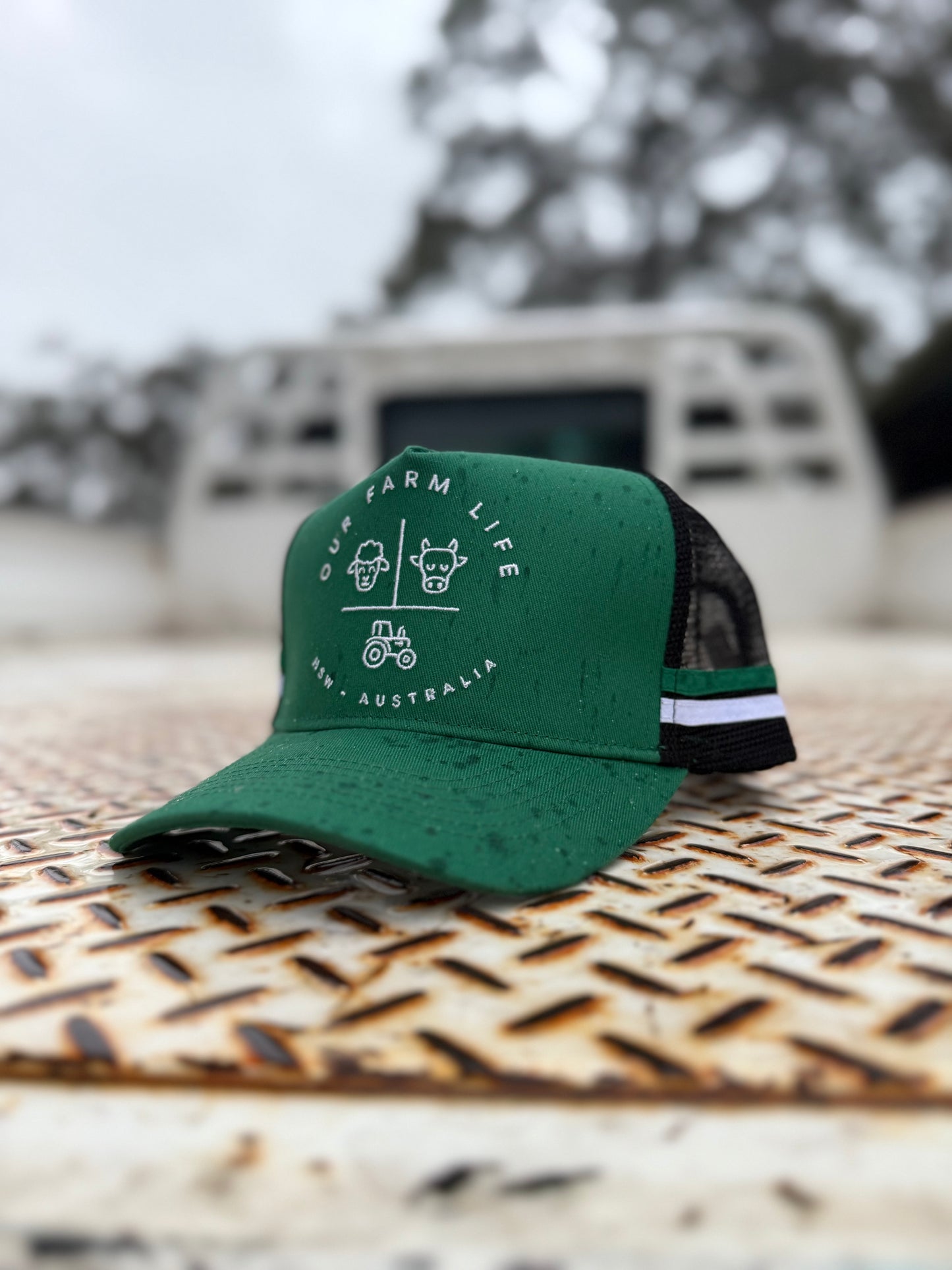 OFL Cap - Trucker